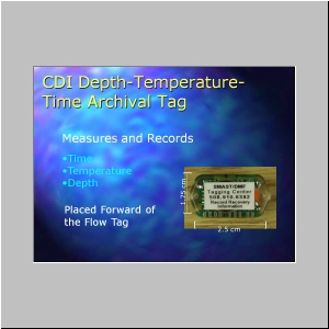 Slide6.JPG