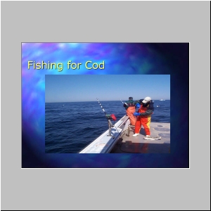 Slide7.JPG
