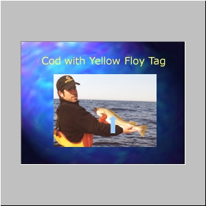 Slide9.JPG