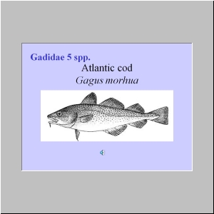 Slide10.JPG