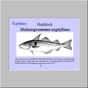 Slide11.JPG