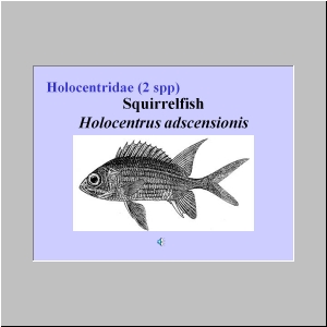 Slide14.JPG