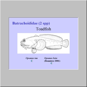 Slide22.JPG