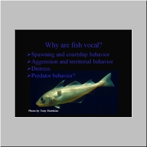 Slide3.JPG