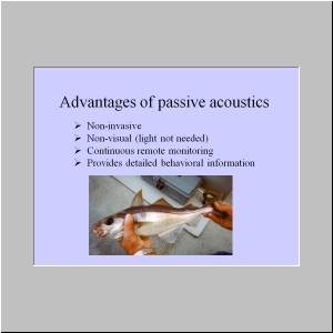 Slide5.JPG