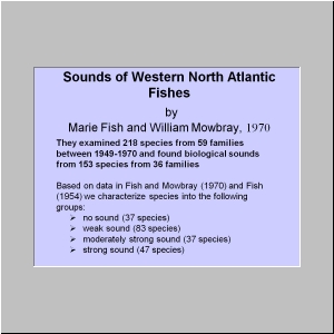 Slide6.JPG