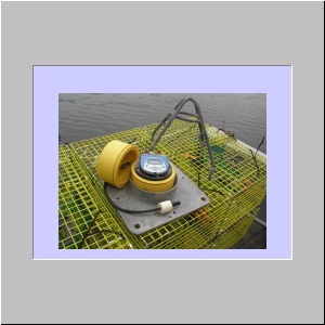 Slide14.JPG
