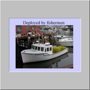 Slide15.JPG