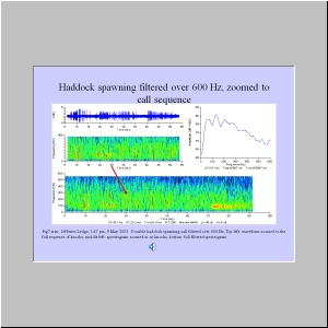 Slide19.JPG