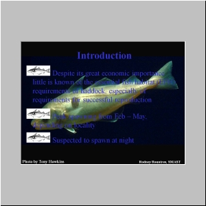 Slide2.JPG