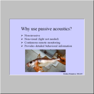 Slide4.JPG