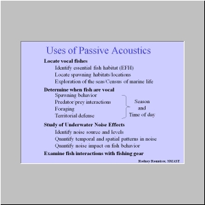 Slide5.JPG