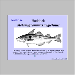 Slide6.JPG