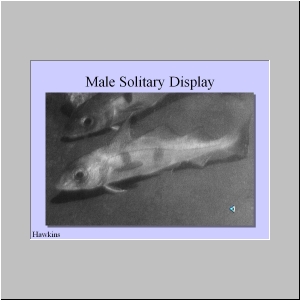 Slide8.JPG