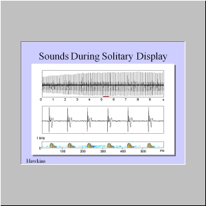 Slide9.JPG