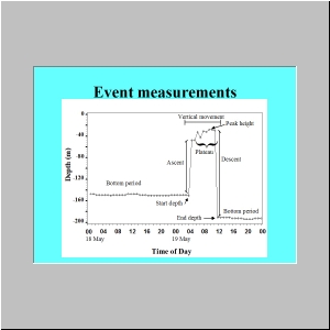 Slide11.JPG