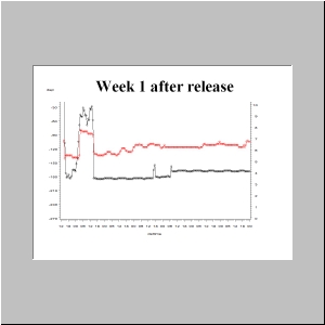 Slide12.JPG