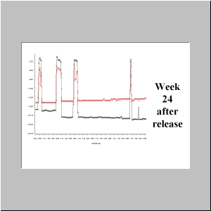 Slide14.JPG