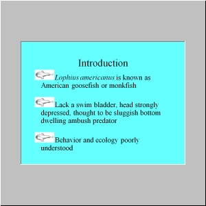 Slide2.JPG