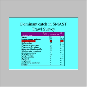 Slide5.JPG
