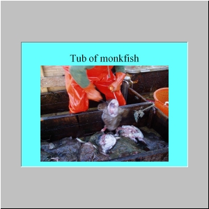 Slide7.JPG