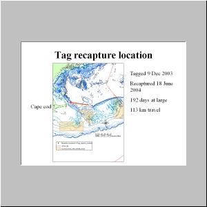 Slide9.JPG