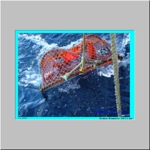 Slide26.JPG