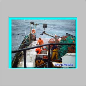 Slide27.JPG