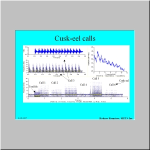 Slide24.JPG