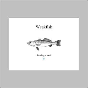 Slide10.JPG