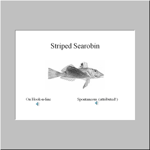 Slide11.JPG