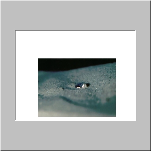 Slide16.JPG