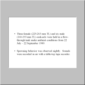Slide17.JPG