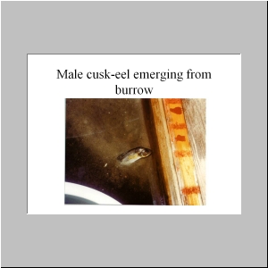 Slide18.JPG