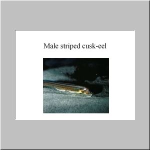 Slide19.JPG