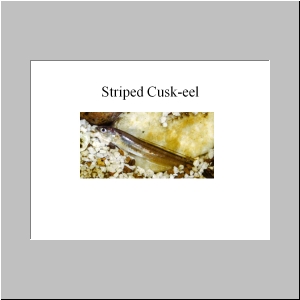 Slide24.JPG