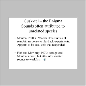 Slide25.JPG