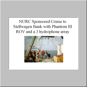 Slide28.JPG