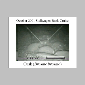 Slide29.JPG