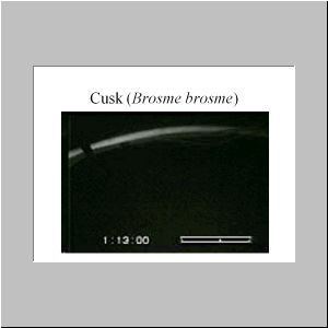 Slide30.JPG