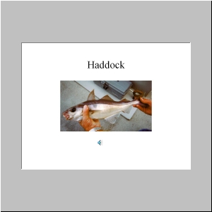 Slide34.JPG