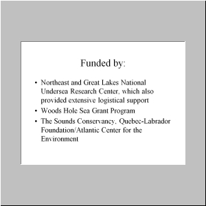 Slide36.JPG