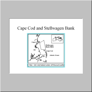 Slide4.JPG