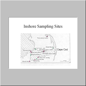 Slide6.JPG