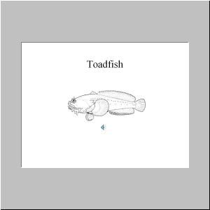 Slide9.JPG