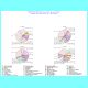 du2p164b.gif