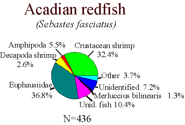 Acadian redfish