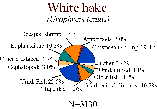 White hake