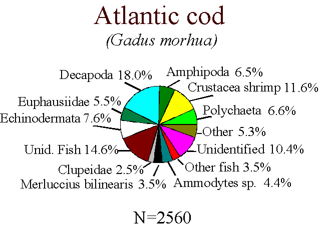 Atlantic cod