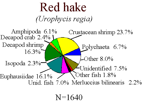 Red hake